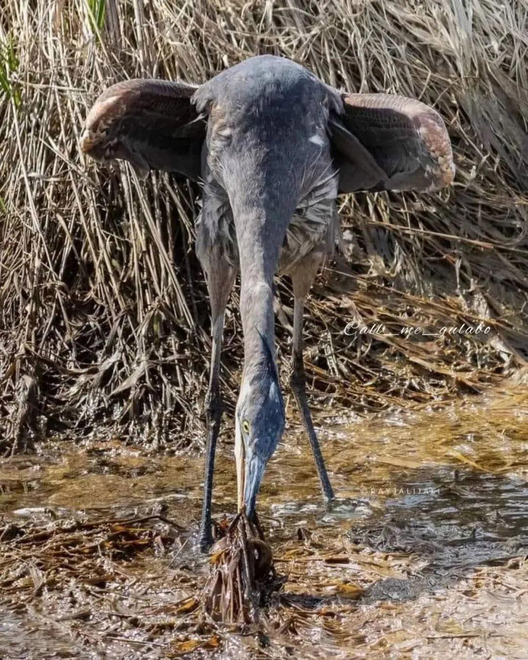 25張一眼會看錯的照片：你看到的，可能根本不是事實！挑戰一下？插圖5