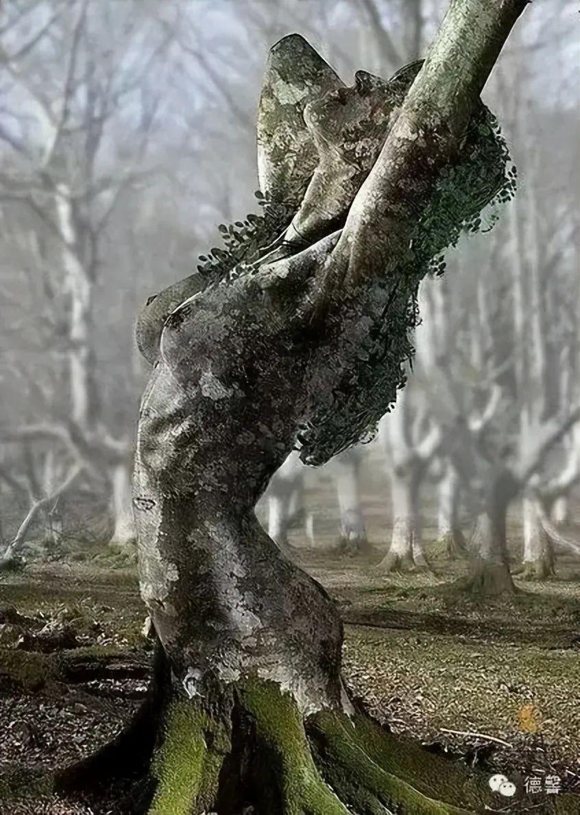 28棵“不正經”的樹：屁股、大長腿、搞笑臉，這屆樹木太會演了！插圖1