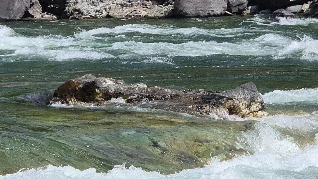 22張照騙，眼見不為實：它們正悄悄揭穿你的思維習慣插圖6