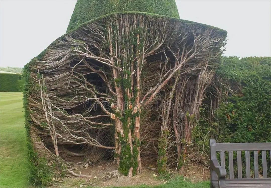 20次地球開掛的時刻：拍下來的那一刻，我開始重新審視世界！插圖18