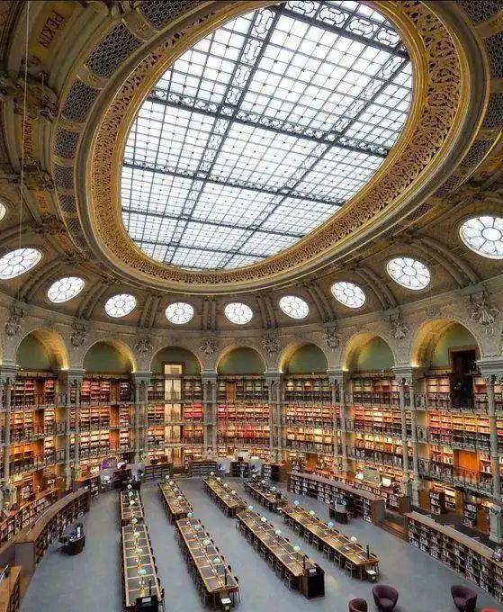 見過會“透明”的鯊魚嗎？30張讓人瞠目結舌的自然奇觀照片插圖13