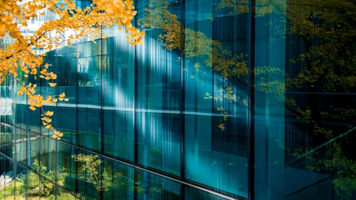 攝影新手避坑指南：別讓這些錯誤毀了你的大片夢！插圖10