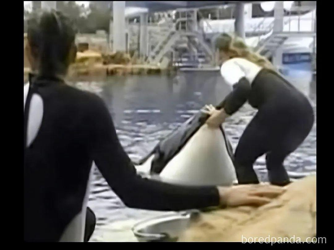 真實世界的“恐怖片”：20個你不敢相信是真的故事，看到第5個我頭皮發麻插圖12