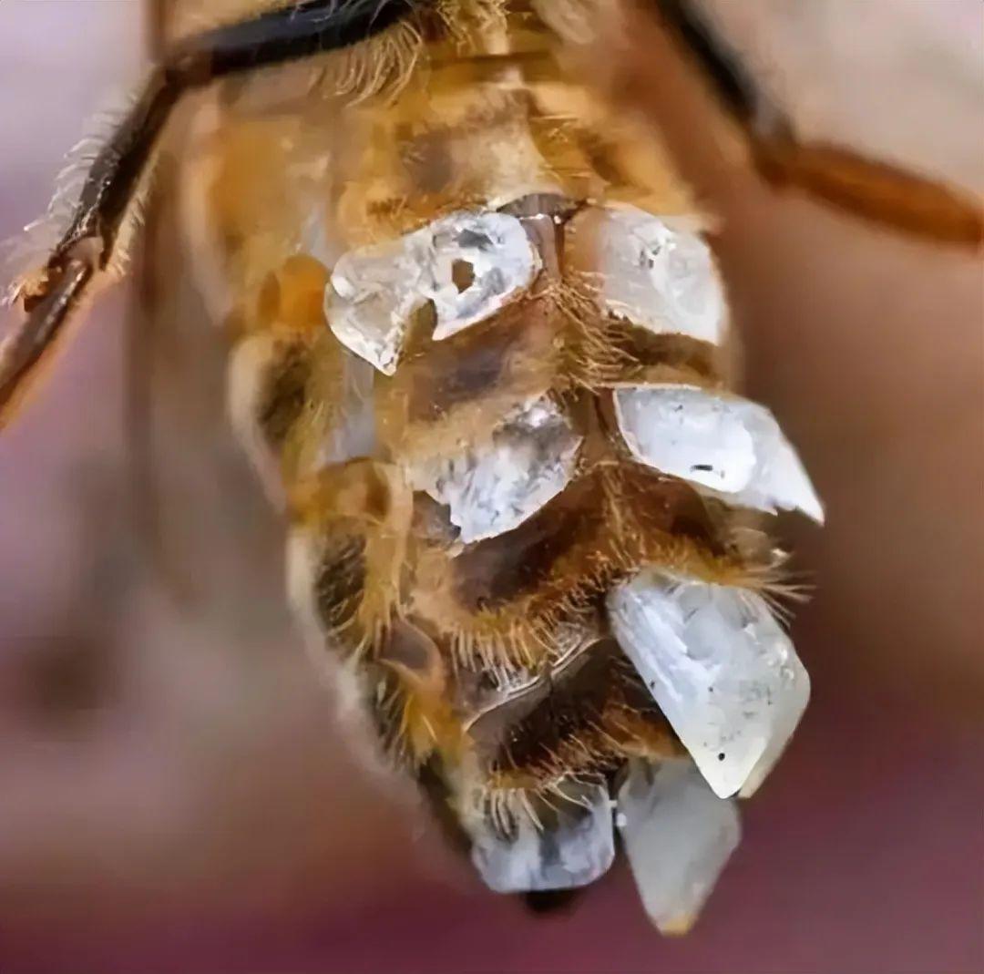 20張照片讓你大開眼界：原來地球比想象中還“離譜”！插圖6