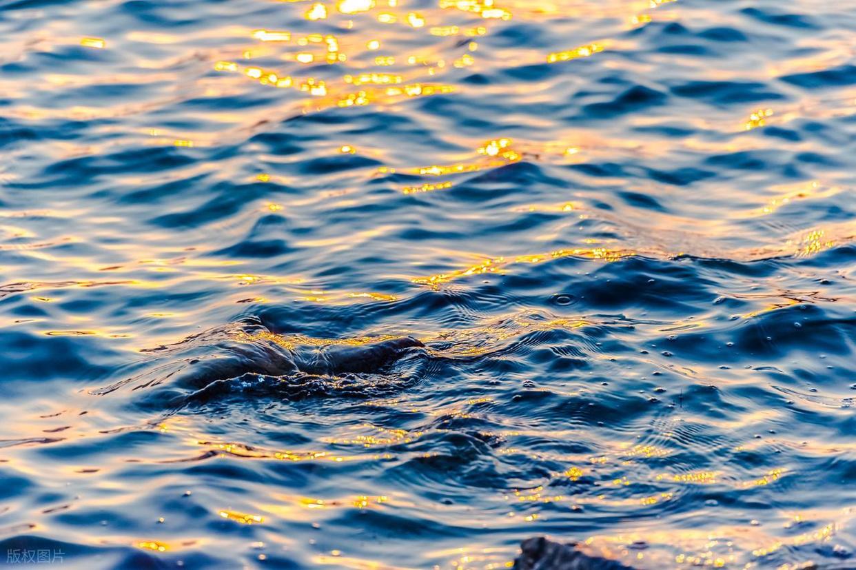 波光粼粼水面拍攝全攻略：從參數(shù)到氛圍的核心技巧插圖11