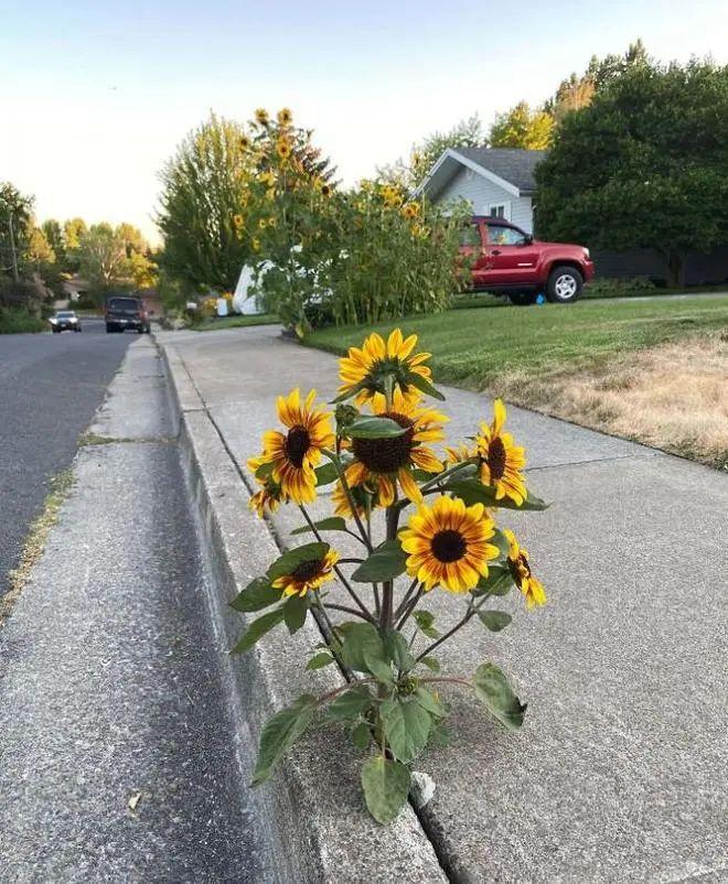 20次地球開掛的時刻：拍下來的那一刻，我開始重新審視世界！插圖13