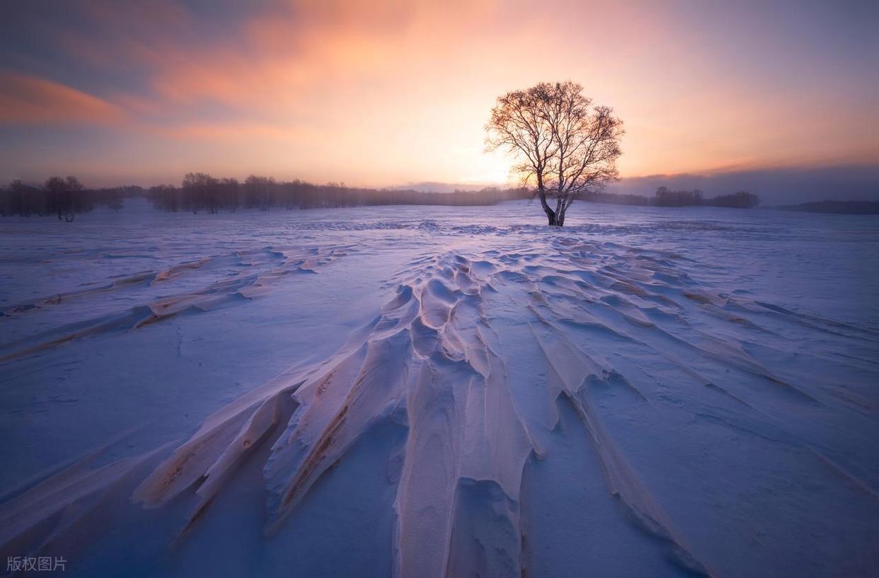 攝影構圖避坑指南：拍出好片的關鍵要點插圖3