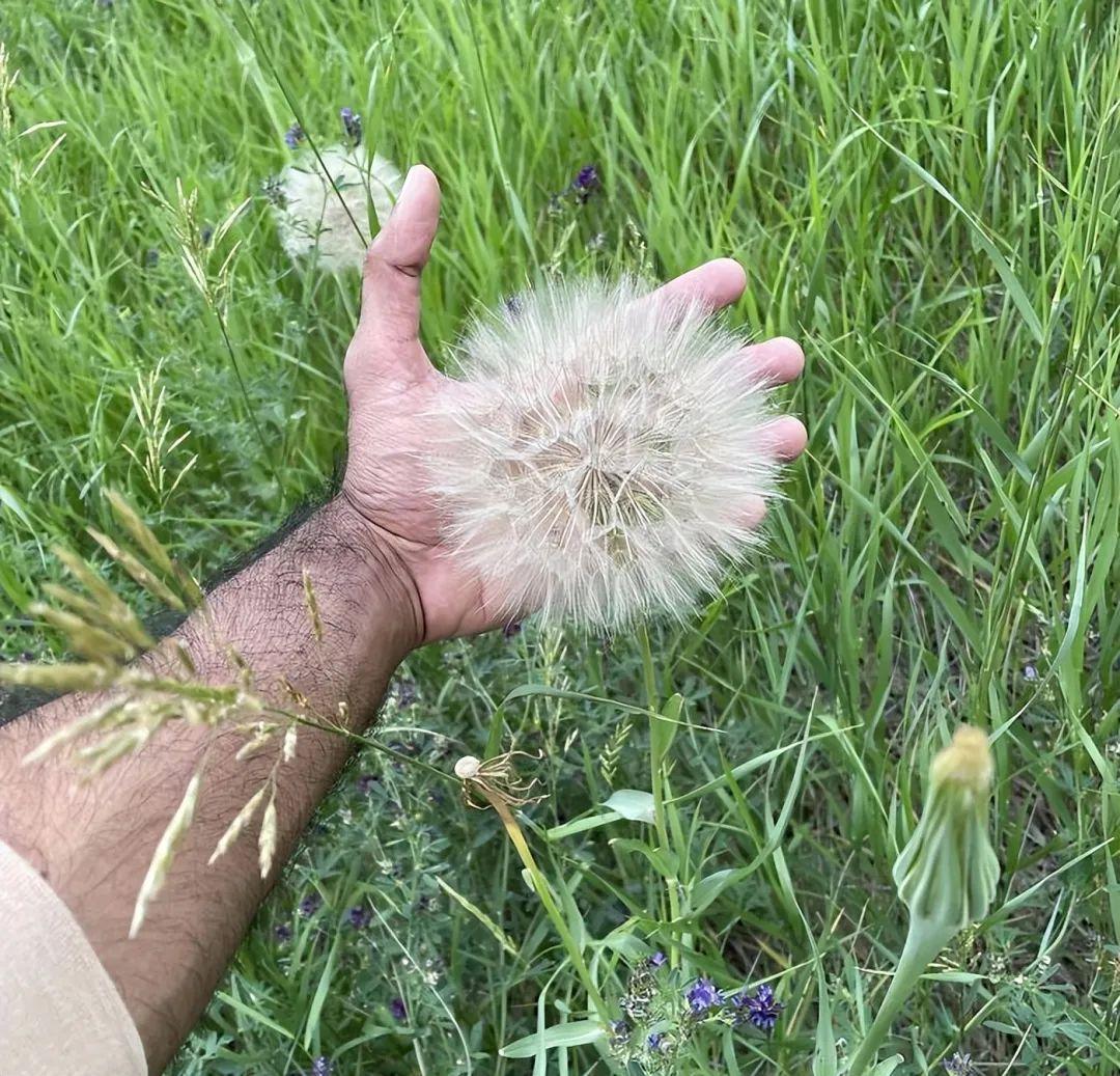 打破你對“正常尺寸”的認知，30個超乎尋常的尺寸，顛覆你的認知插圖6