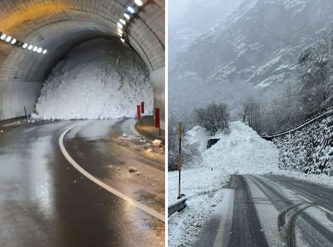 30張照片記錄人類和動物頂風而上的瞬間：自然要毀滅，他們卻活下來了插圖25