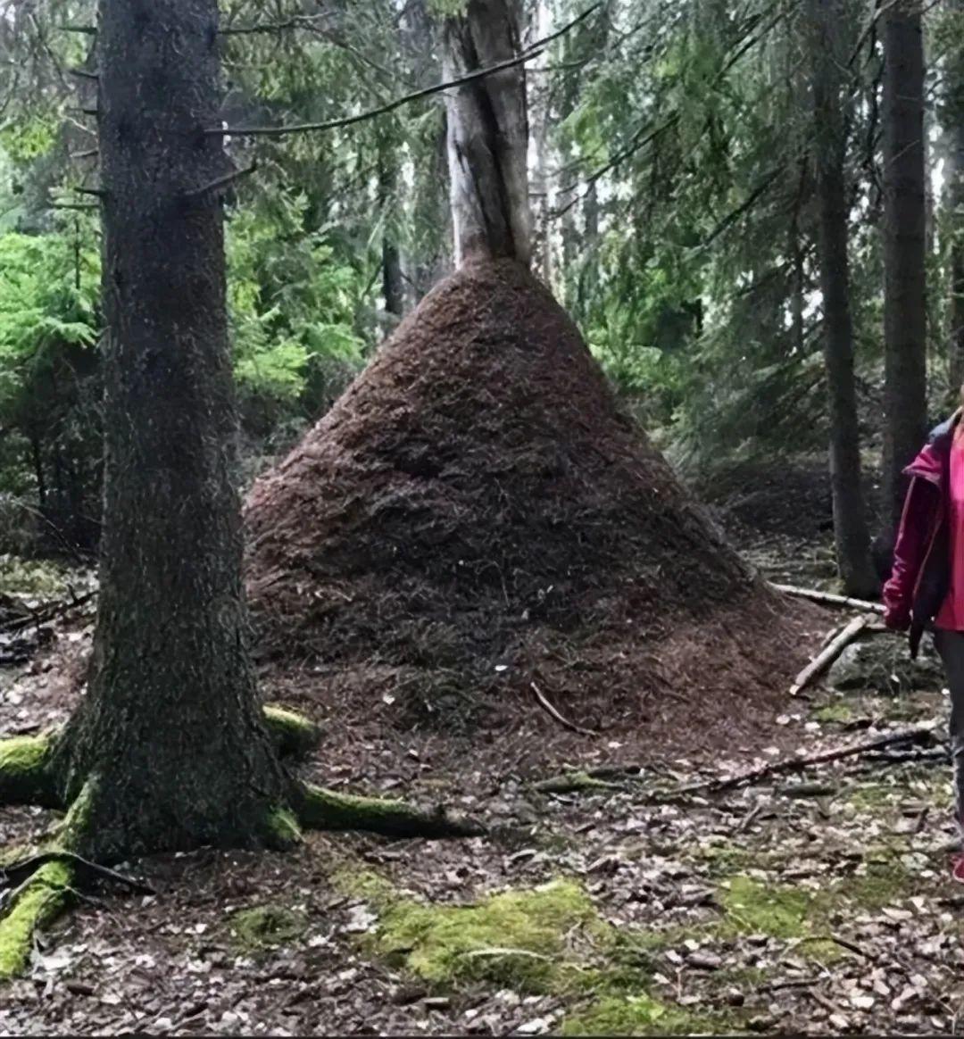 20次地球開掛的時刻：拍下來的那一刻，我開始重新審視世界！插圖4