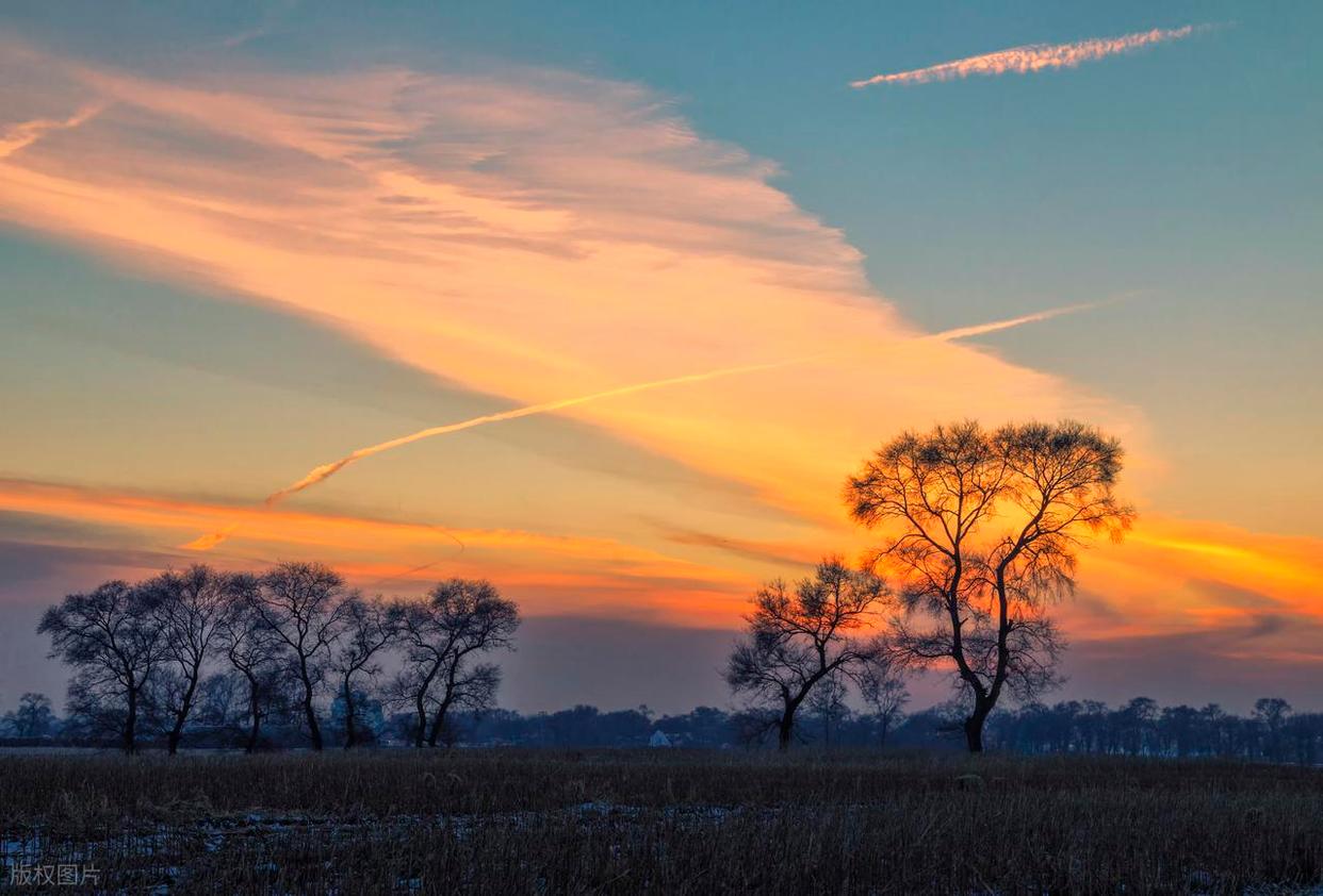 攝影小白實(shí)操：解鎖光線(xiàn)與背景的完美搭配插圖3