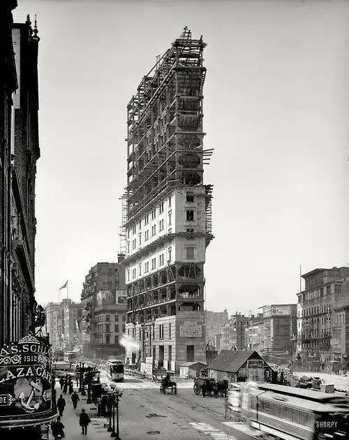 見過會“透明”的鯊魚嗎？30張讓人瞠目結舌的自然奇觀照片插圖20