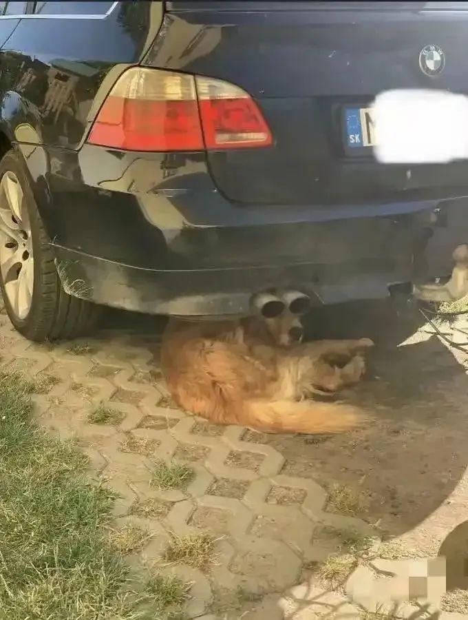 這些照片太會“騙人”：20個讓你大腦短路的錯覺瞬間插圖5