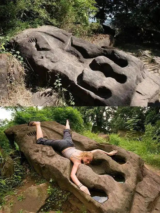 見過會“透明”的鯊魚嗎？30張讓人瞠目結舌的自然奇觀照片插圖16