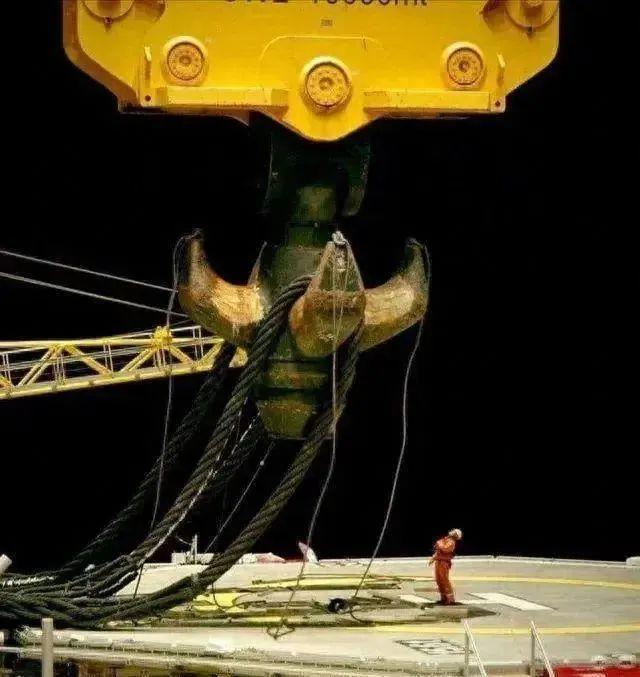 20個讓你懷疑人生的超巨型真實存在：10米烏賊、2噸馬、20萬升酒桶，看到第7個我沉默了插圖9