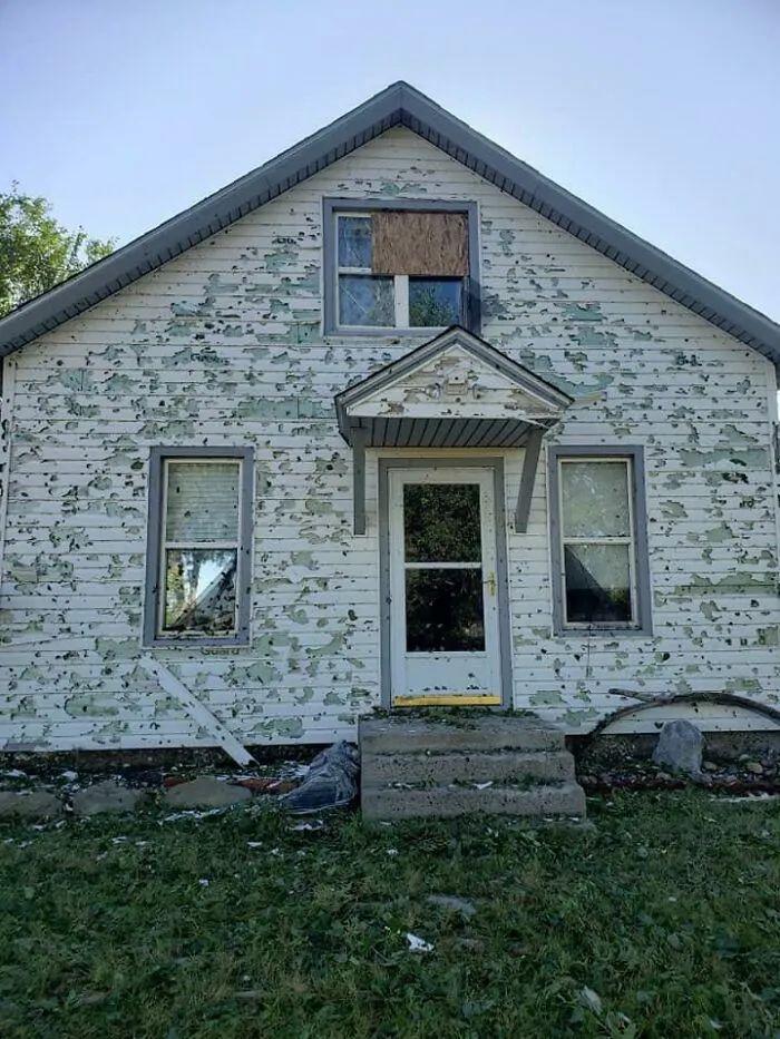 30張照片記錄人類和動物頂風而上的瞬間：自然要毀滅，他們卻活下來了插圖23