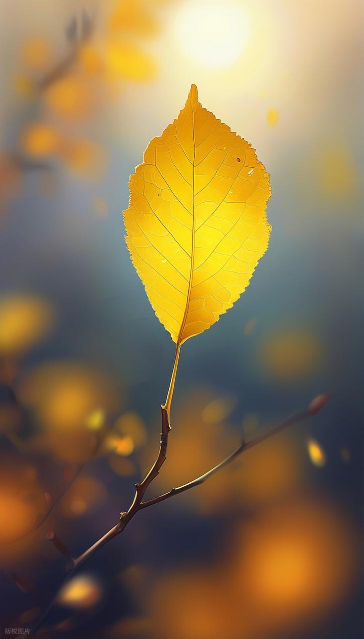 攝影小白實(shí)操：解鎖光線(xiàn)與背景的完美搭配插圖7