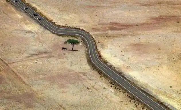 見過會(huì)“透明”的鯊魚嗎？30張讓人瞠目結(jié)舌的自然奇觀照片-無料攝影圈