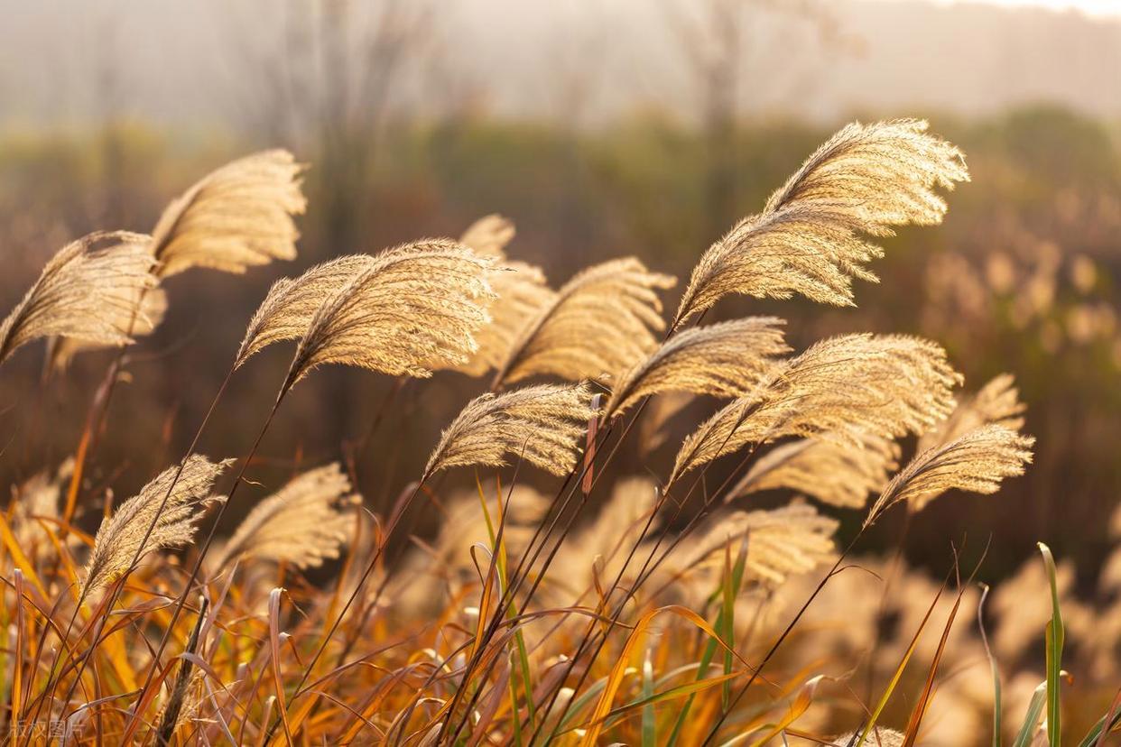 從“亂拍”到“出片”，攝影人的秘密全公開！插圖6