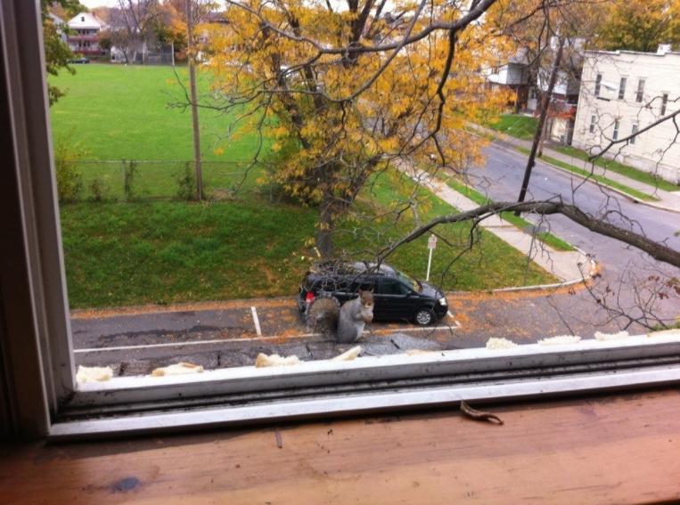 26張“腦洞大開”的錯覺照：沒有PS，卻比魔術還離譜插圖13