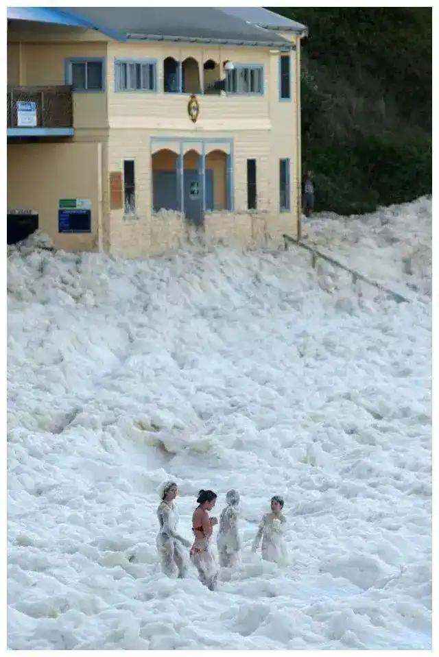 見過會“透明”的鯊魚嗎？30張讓人瞠目結舌的自然奇觀照片插圖17