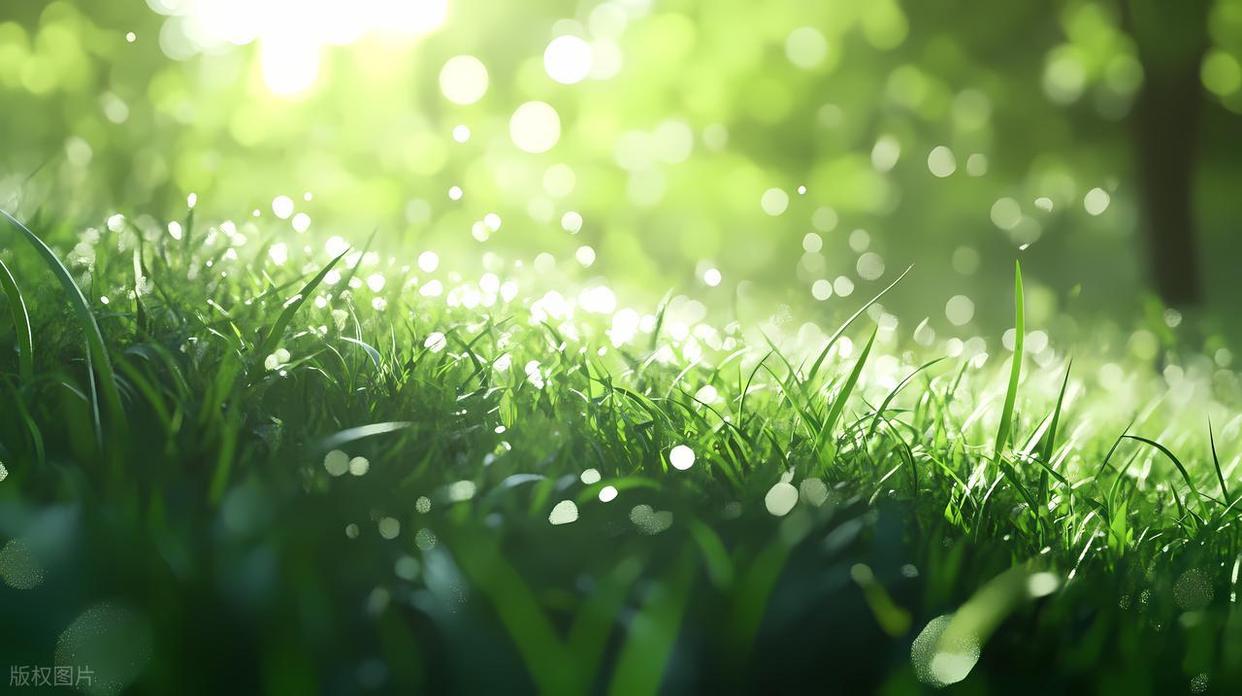 攝影構圖避坑指南：拍出好片的關鍵要點插圖11