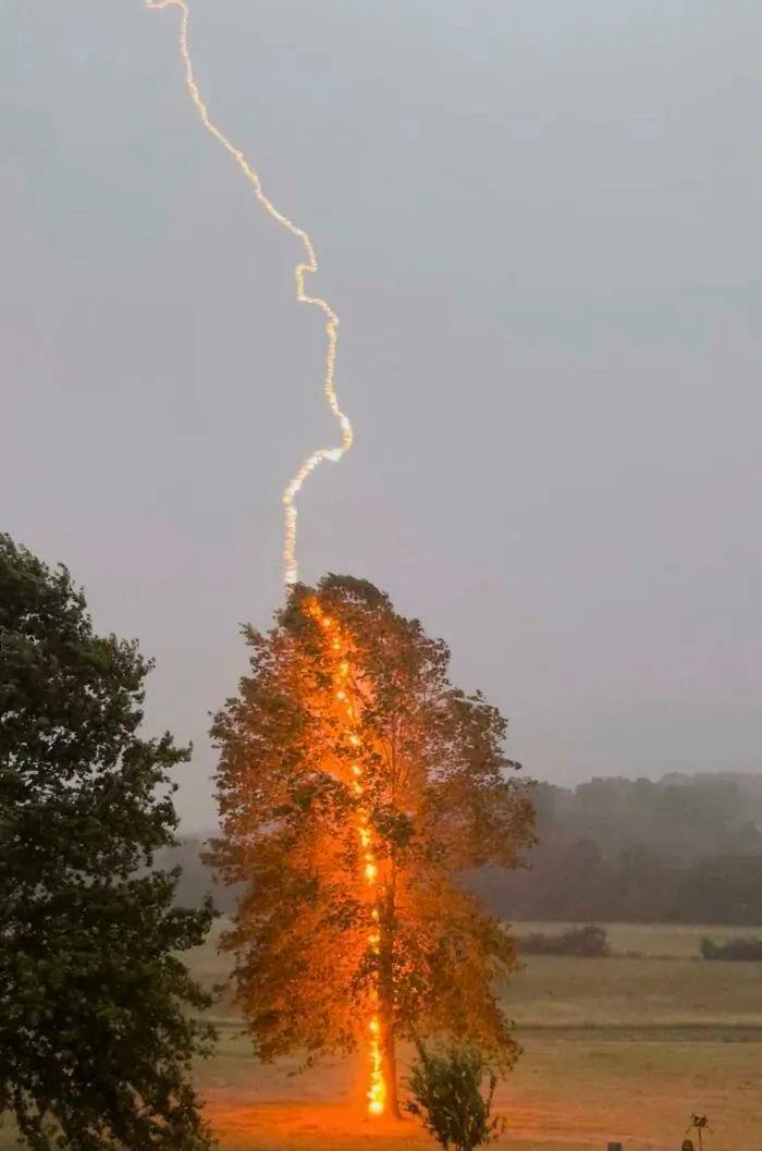 21張大自然的“壞脾氣”瞬間：笑哭、心疼、心驚全都來了插圖11