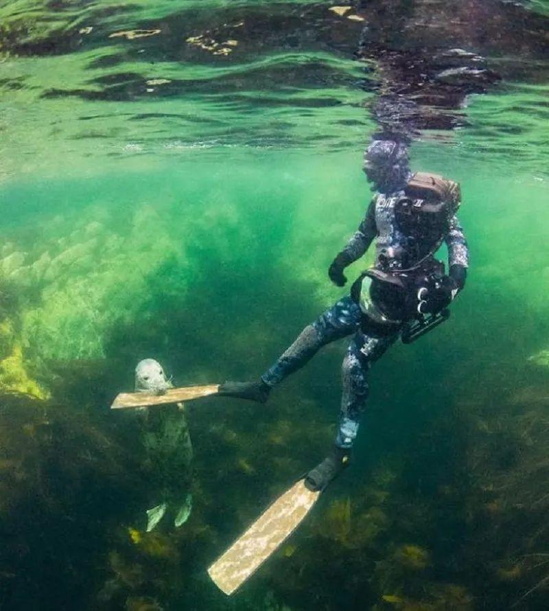 25個世界奇景：人類、動物和地球都在“整活”，看完大開眼界插圖4