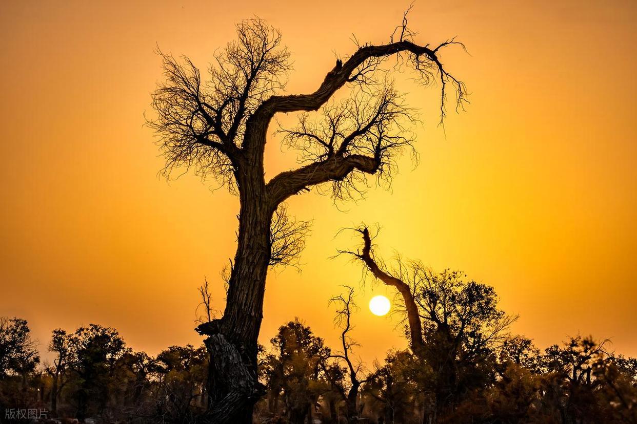 攝影干貨｜9個細節(jié)表現法，讓你的照片質感爆棚！插圖10