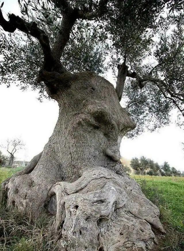 25個世界奇景：人類、動物和地球都在“整活”，看完大開眼界插圖19