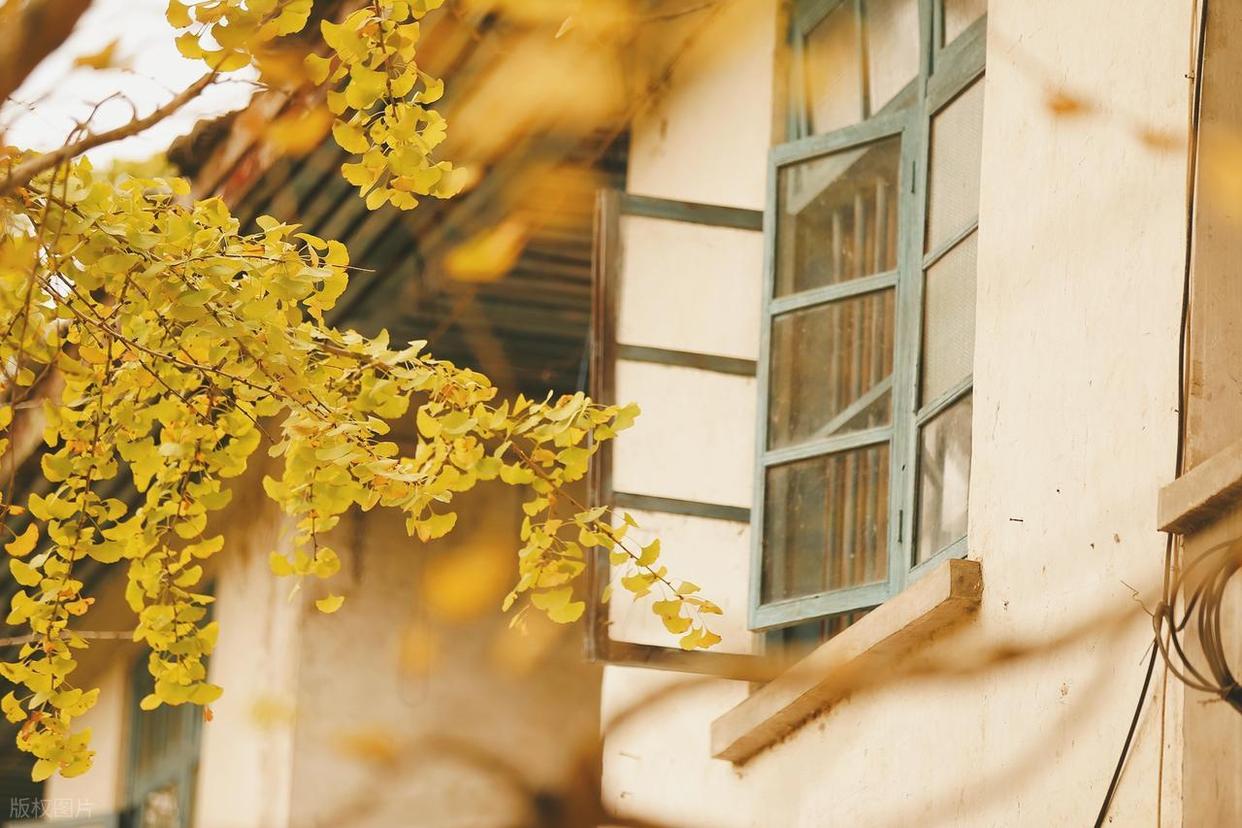 攝影構圖避坑指南：拍出好片的關鍵要點-無料攝影圈