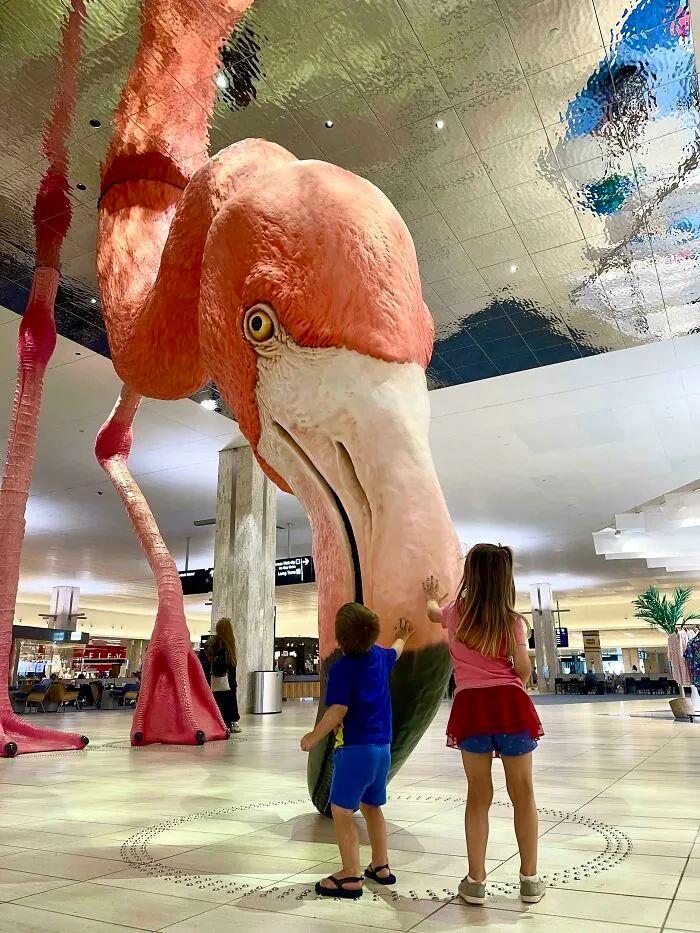 打破你對“正常尺寸”的認知，30個超乎尋常的尺寸，顛覆你的認知插圖2