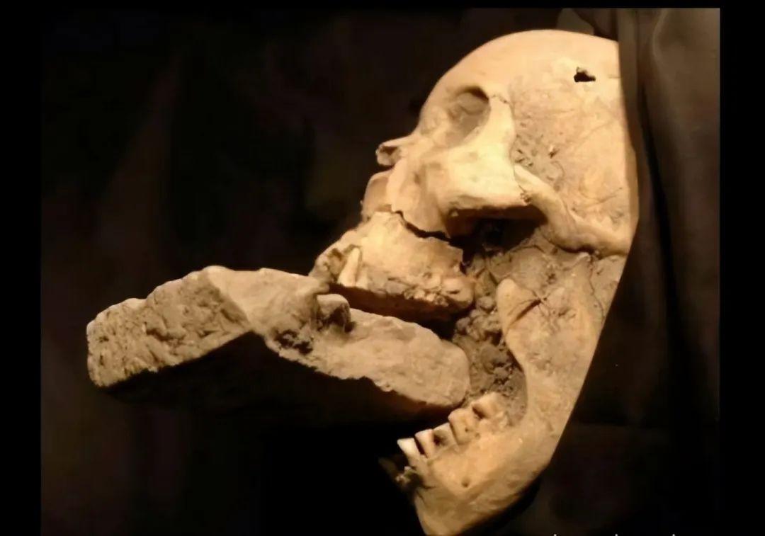 真實世界的“恐怖片”：20個你不敢相信是真的故事，看到第5個我頭皮發麻插圖7