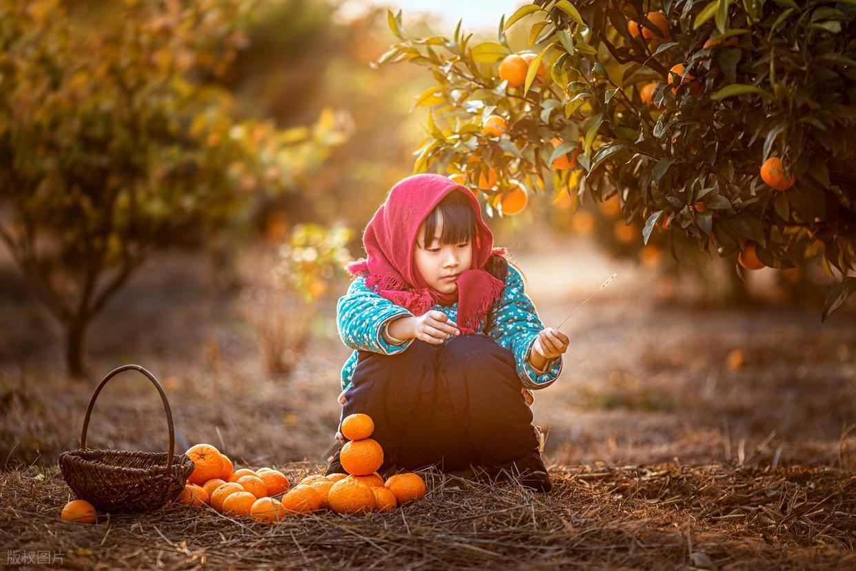 攝影新手進(jìn)階：解鎖不同時(shí)段光線密碼！插圖8