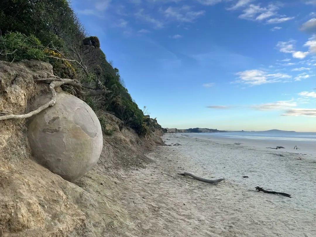 27次海灘驚魂發現：從恐龍腳印到鯨魚骸骨，真相比小說還離譜！插圖24