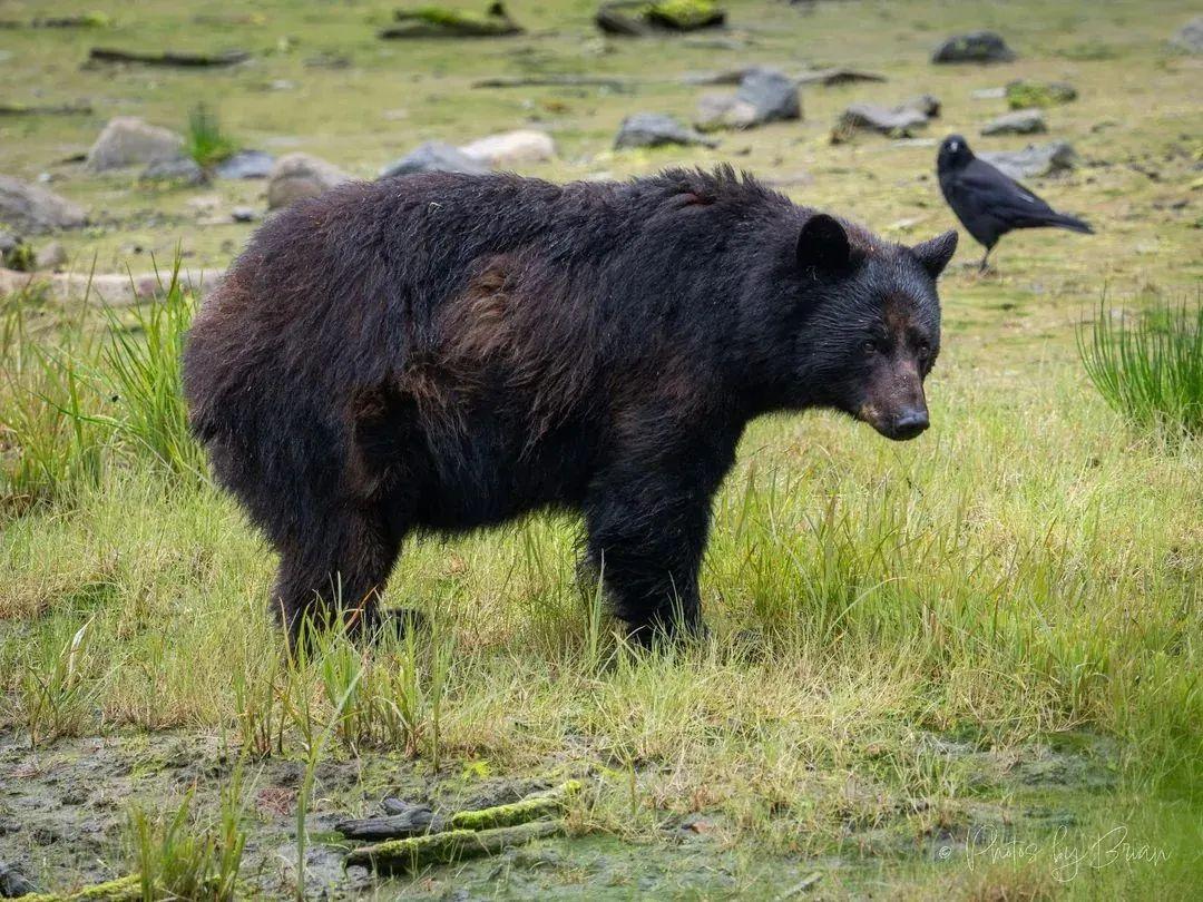 22張照騙，眼見不為實：它們正悄悄揭穿你的思維習慣插圖2