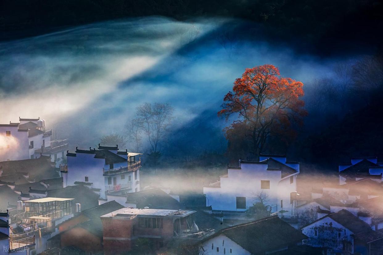 攝影新手進(jìn)階：解鎖不同時(shí)段光線密碼！插圖1