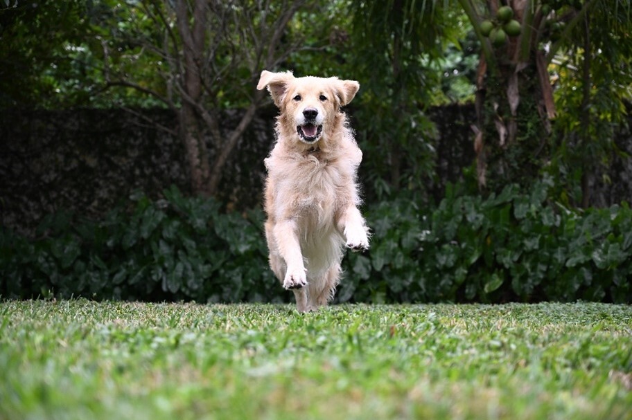 輕裝上陣！尼康Z5II & Z6III承載你的盛夏出游記憶插圖1
