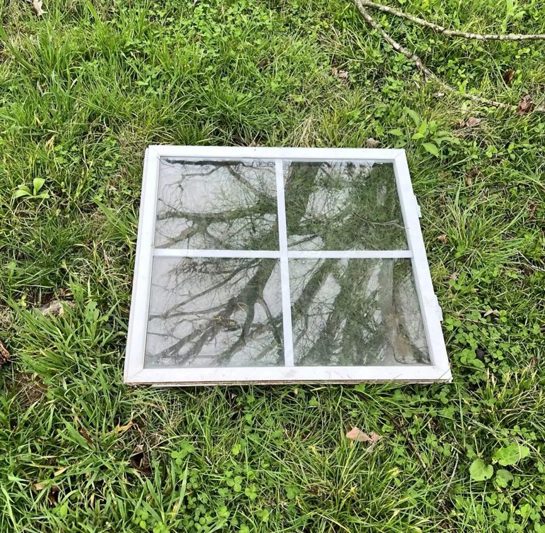 21張大自然的“壞脾氣”瞬間：笑哭、心疼、心驚全都來了插圖12