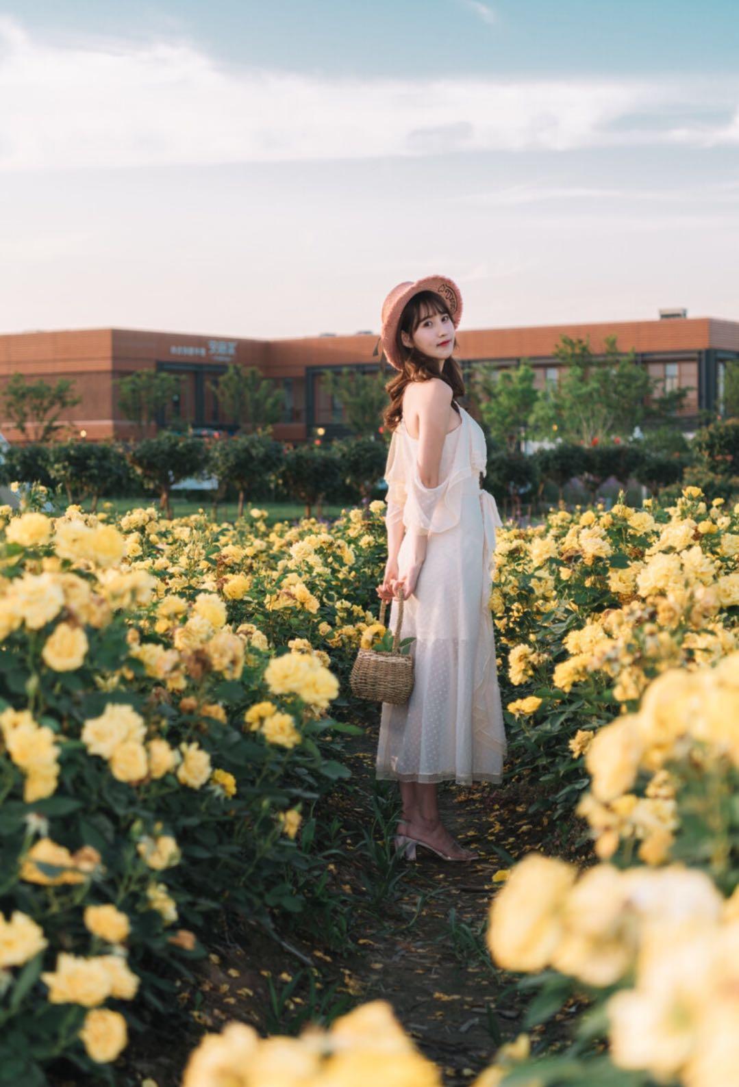 新手也能學會的7個拍照技巧，花海人像這樣拍，拍出你的各種美插圖4