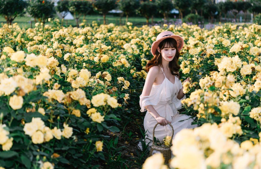 新手也能學會的7個拍照技巧，花海人像這樣拍，拍出你的各種美插圖5