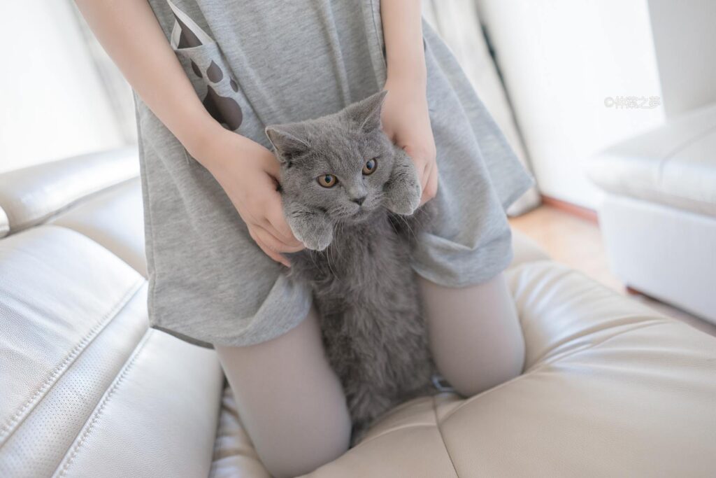 輕蘭映畫精品少女寫真@SPL.014 [110P/875MB]插圖