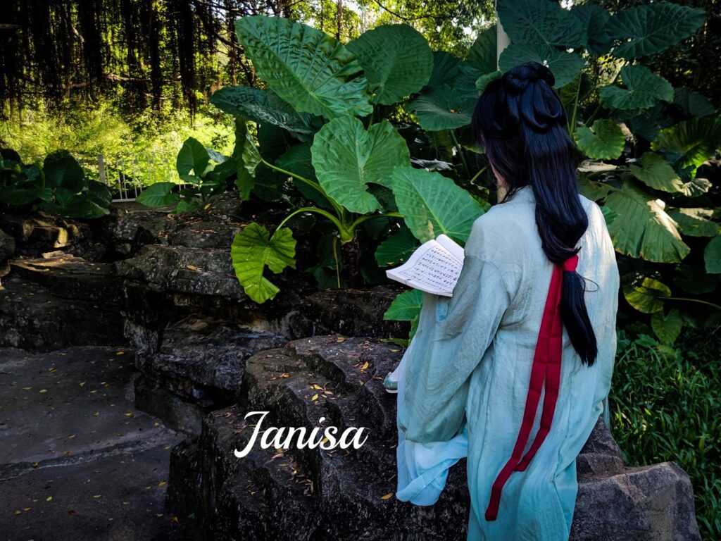 Janisa NO.010 – 一曲廣陵散[29P/275MB]插圖1