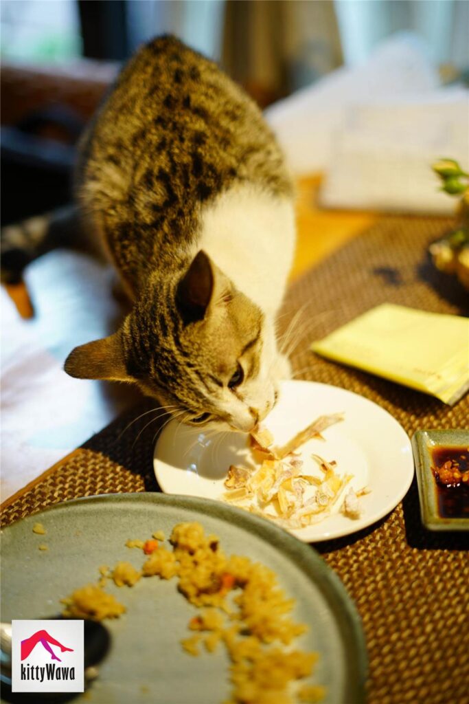 [kittyWawa襪小喵] KT020《開叉裙與蕾絲》[99P/32MB]插圖1