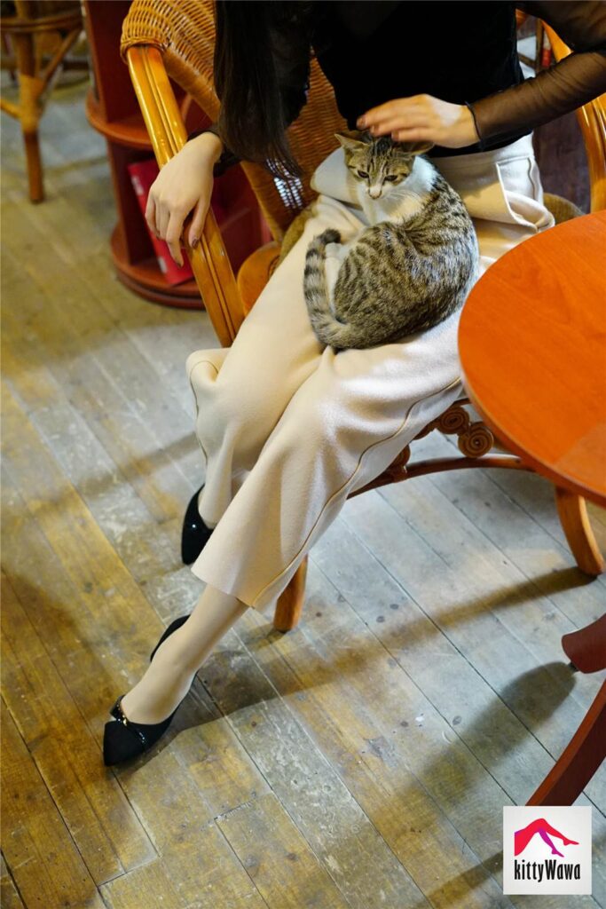 [kittyWawa襪小喵] KT022《闊腿褲里的秘密》[99P/25MB]插圖3