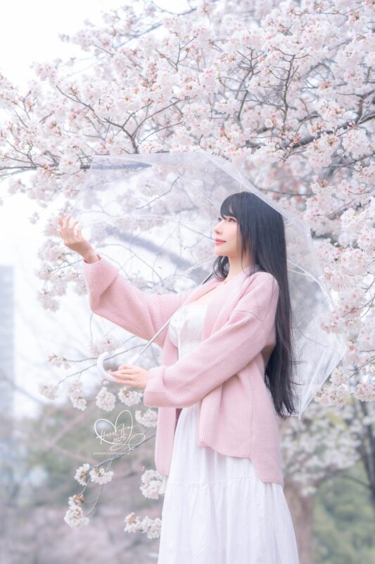 Hane Ame 雨波寫真 NO.258 – 雨櫻下的約定[62P/4V/927MB]-無料攝影圈