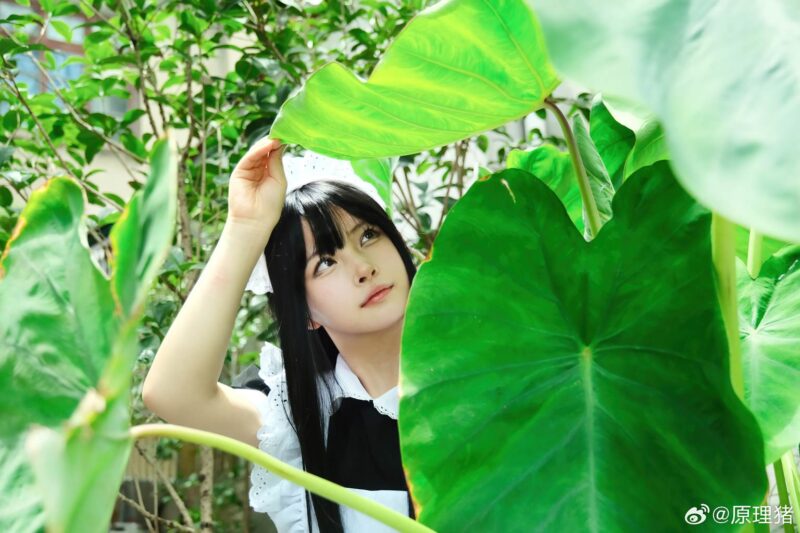 白莉愛(ài)吃巧克力 NO.005 - 原理豬 深巷女仆[11P/487MB]-無(wú)料攝影圈